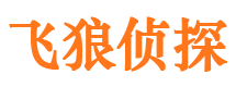 柯坪侦探公司